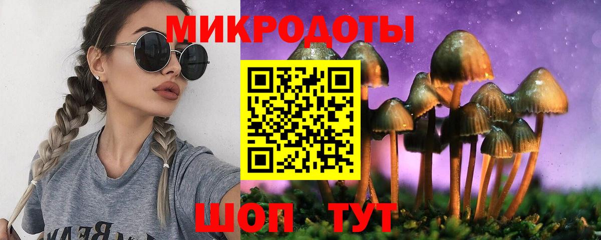 Псилоцибиновые грибы Psilocybine cubensis  Вход с VPN  Фрязино 