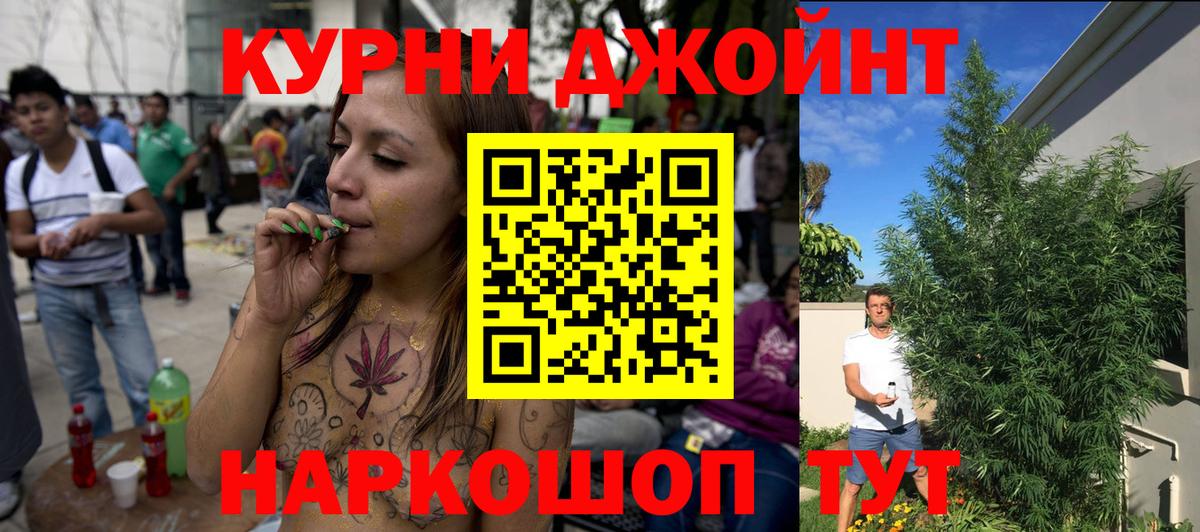 Бошки марихуана OG Kush Фрязино